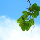 한주모터스 이미지