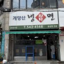 계양산칡냉면 | 인천 계양 임학역 계양산 칡 냉면 찐맛집 후기!!(살얼음 동동 냉면,, ꯁ )