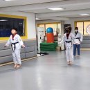 팡팡태권도장 이미지