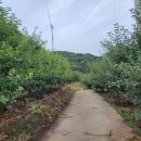 미골농장 이미지