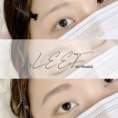 [서울/송파]자연눈썹 1주일 솔직 시술후기_리프