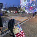 [평택] 평택 대학교 벚꽃 축제 일정 4/3(목)~4/13(일)