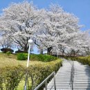 연암도서관 이미지