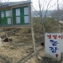 궁말농장 Daum카페