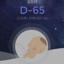 솔비쥬 | [오드로] 임신 26주 ~ 30주 증상과 배 크기변화