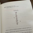 균형있는삶