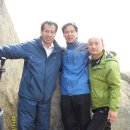 원이중학교 이미지