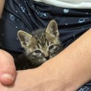 평택 법원 앞 버스정류소 | 새 가족이 생겼어요. 자랑 좀 해도 될까요 🤎