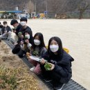 화개초왕성분교 이미지