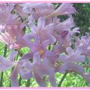 광석중학교 이미지