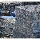 개미환경자원 이미지