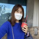 협재리체 이미지