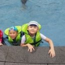 시흥 도일 태권도장 이미지