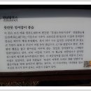 울밀로+내곡능골길 이미지