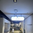 대구 반월당역 아동복 무인매장 돌핀웨일 내돈내산 후기