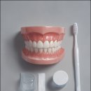 네모치과의원 이미지