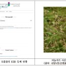 하늘지기 이미지