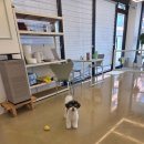 학하서로 이미지