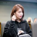 사쿠라PC 이미지