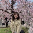 토모토모 - 영월군 하송로 144 | 토모토모