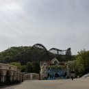 안나하우스벨리 | 4월 에버랜드 임산부 오픈런 안하고 눈치게임 완승 사파리 대기 10분 후기 주차/ 동선 추천 다정이네김밥