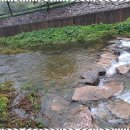 삼척민박 이미지