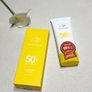 써니데이 | 씨널스 썬크림 후기 오 써니데이 데일리 대용량 선크림