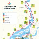 23년 춘천마라톤 풀코스 42.195km 후기
