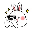 율무네애견 이미지