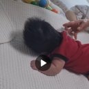 준베스트 | 구미 김천 산후도우미, 아기 안전과 위생 철저하게 챙겨준 베스트맘 후기