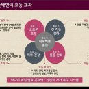 하나미 이미지