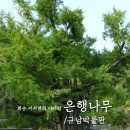 규남박물관 이미지