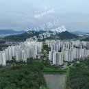 박사 행정사사무소 이미지