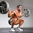 닥터바벨 이미지