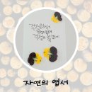 디자인바이숲 이미지