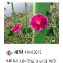 부림동011 이미지