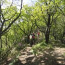 버스정류장 06-154 | 금정산~백양산 종주