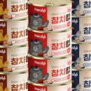 캔마코리아 네이버블로그