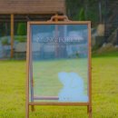 댕댕이 운동장 이미지