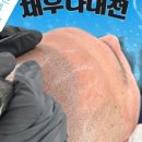 채우다대전