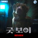 ㈜참신 | 2025 개봉영화 &lt;굿 보이&gt; 후기 리뷰 정보 출연진 평점 인디 죽나요? 관람평 포토 쿠키 수위 강아지 공포...