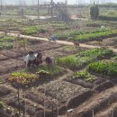 허브힐링가든 이미지