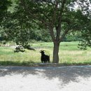 청길강변로 이미지