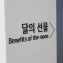 시화호수빌 태양광발전소 | [안산여행] 안산관광지 명소 시화호 달전망대 조력 문화 전시관