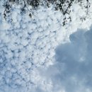 동구청로 이미지