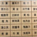 하늘토엠디한의원 이미지