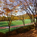 원적산체육공원 이미지