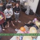 양지민박 이미지