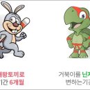 토끼와거북이과외
