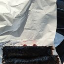 할매김밥 이미지